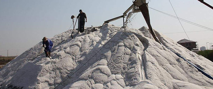 a bulk raw salt in salt factory