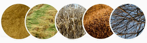 five kinds of biomass materials 