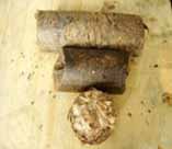 briquette made by log briquette maker